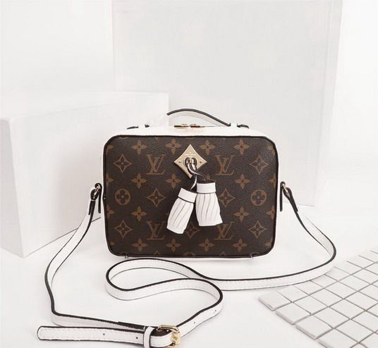 Lu bags 2020-10-28-460